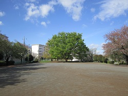 三田第４公園
